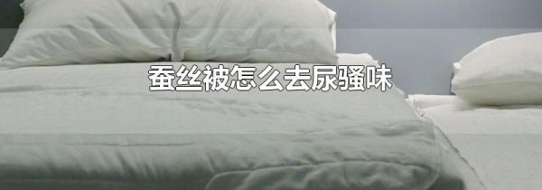 蚕丝被怎么去尿骚味