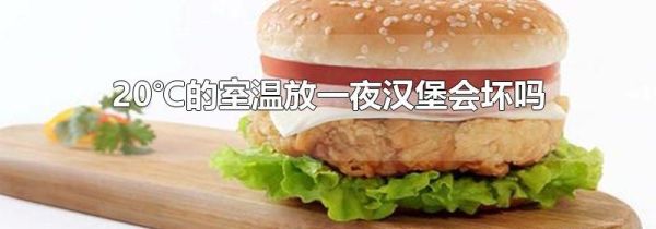 20℃的室温放一夜汉堡会坏吗
