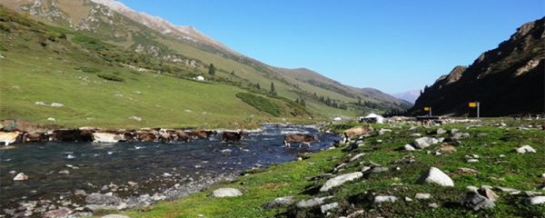淝水是哪条河的支流 淝水之战的淝水是哪条河的支流