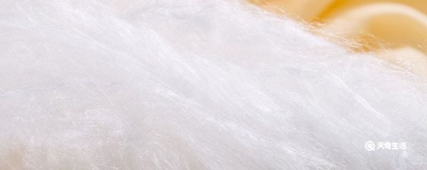 蚕丝被称为 蚕丝被称为什么