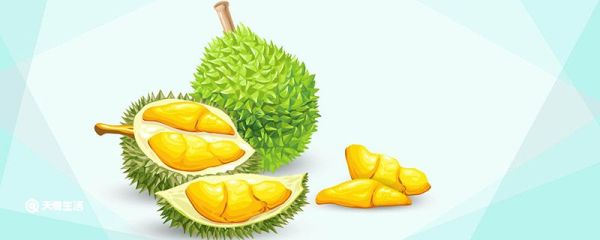 榴莲可以放几天 榴莲怎么保存