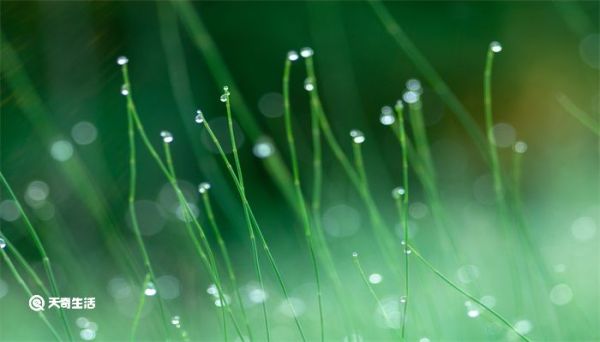 白露是什么季节 白露在什么季节