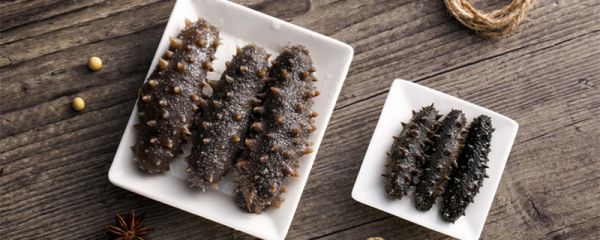 干海参如何泡发 干海参如何泡发的步骤