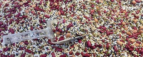 粗粮分为哪几类 粗粮分为哪几个类别