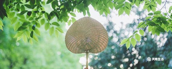 为什么说冷在三九热在三伏 冷在三九热在三伏原因