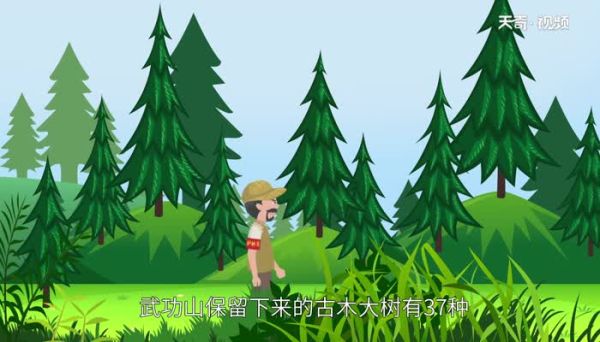 武功山在哪里 武功山位于哪个地方