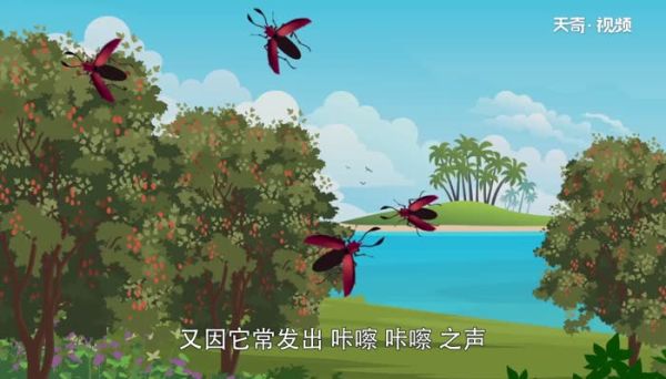 天牛是什么 天牛又被称作什么