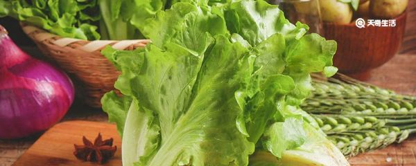 生菜为什么会苦 生菜发苦的原因