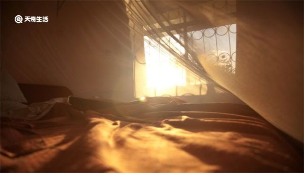 开灯后蚊子去了哪 开灯后蚊子去了哪里