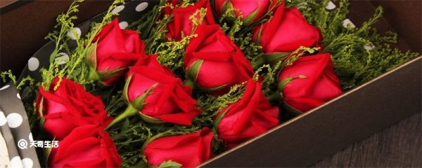 玫瑰花怎么保存时间长 玫瑰花如何保存