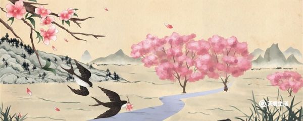 中国有哪四种燕子 中国燕子的种类有哪些