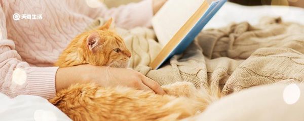 暹罗猫为什么越来越黑 暹罗猫为什么变黑