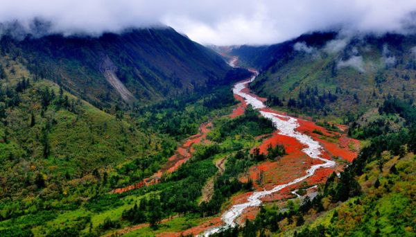 什么是泰山石 什么是泰山精神