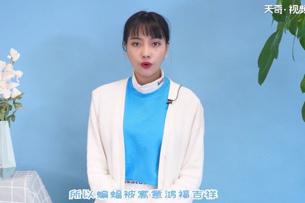 蝙蝠飞到家里是什么预兆 家里进蝙蝠是什么预兆