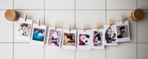 一寸照片多大 一寸照片有多大