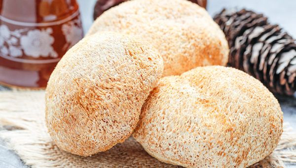 猴头菇的作用与功功效 吃猴头菇有哪些功效