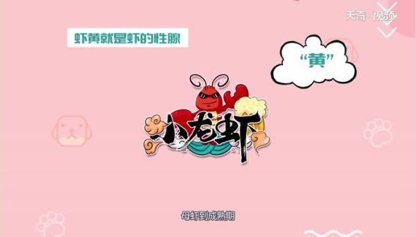 虾黄是什么  什么是虾黄