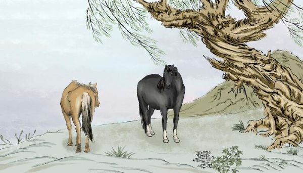 马蹄是马的指甲还是脚丫子 马蹄是马的指甲吗