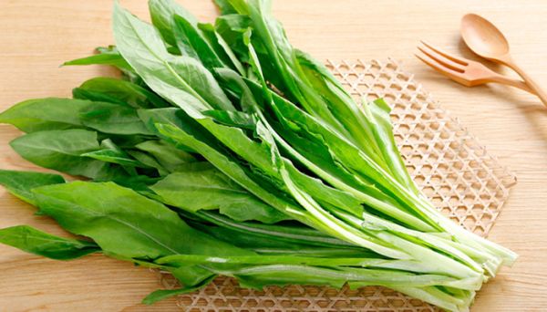 油麦菜和莴笋的区别是什么 油麦菜和莴笋的区别有哪些