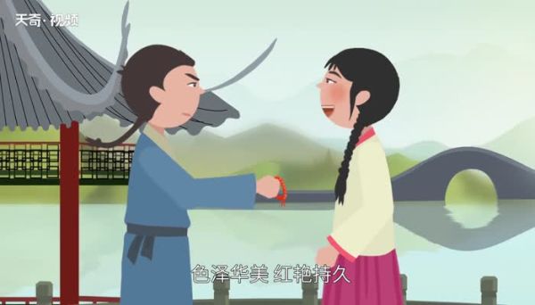 相思豆是什么 相思豆是红豆吗