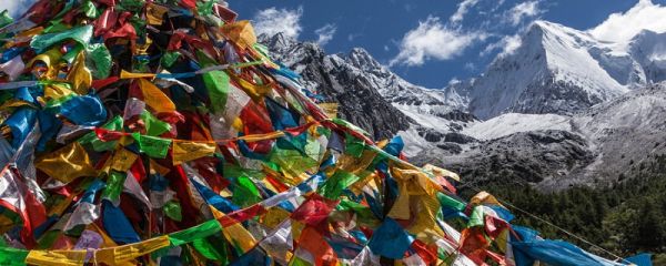 八美镇海拔多少米高 八美镇自然资源