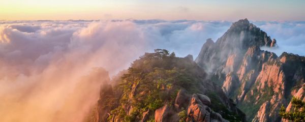 黄山四绝指的是哪四个 黄山四绝指的是哪些