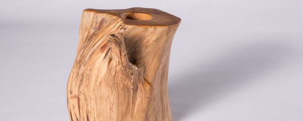 非洲黑檀木怎么样 非洲黑檀木是什么