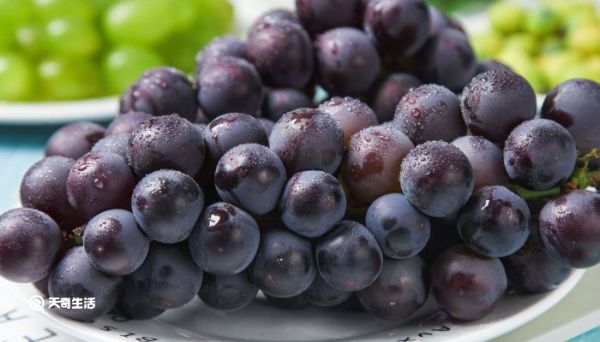 葡萄成熟季节是几月份 葡萄成熟季节在几月份
