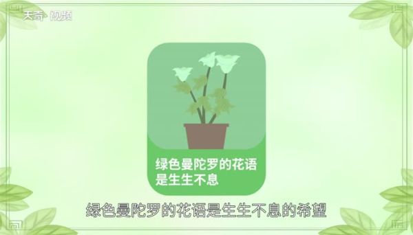 曼陀罗的花语 曼陀罗花的寓意