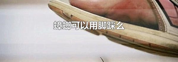 蟑螂可以用脚踩么