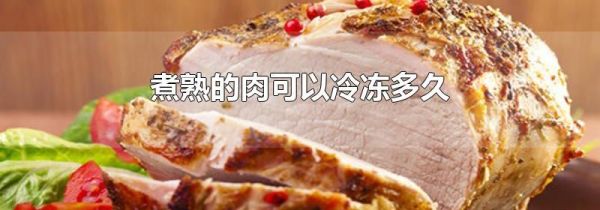 煮熟的肉可以冷冻多久