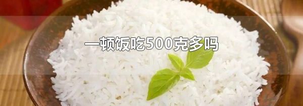一顿饭吃500克多吗
