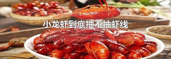 小龙虾到底抽不抽虾线