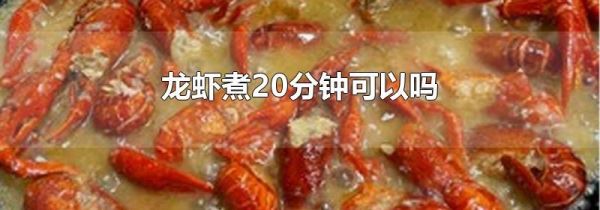 龙虾煮20分钟可以吗