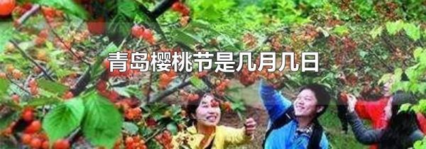 青岛樱桃节是几月几日