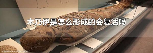 木乃伊是怎么形成的会复活吗