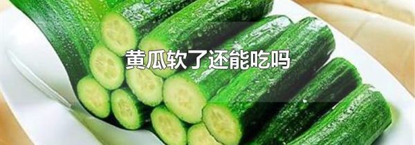 黄瓜软了还能吃吗