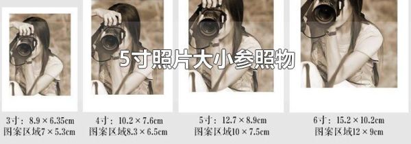 5寸照片大小参照物
