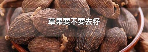 草果要不要去籽