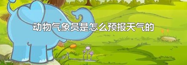 动物气象员是怎么预报天气的