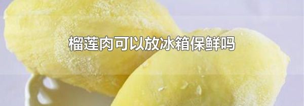 榴莲肉可以放冰箱保鲜吗