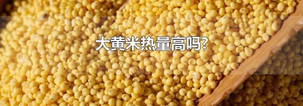 大黄米热量高吗?