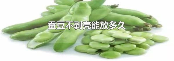 蚕豆不剥壳能放多久