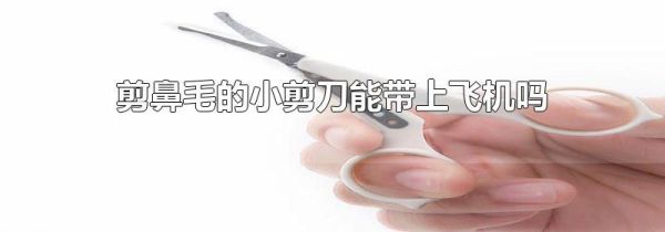 剪鼻毛的小剪刀能带上飞机吗