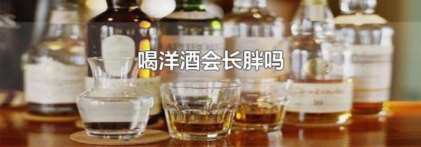 喝洋酒会长胖吗