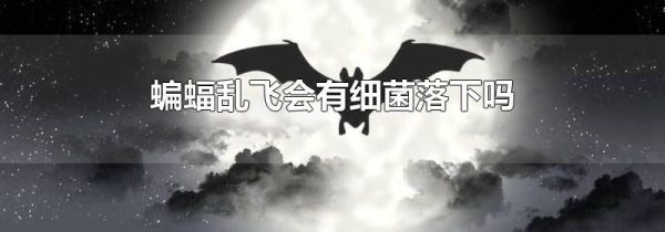 蝙蝠乱飞会有细菌落下吗