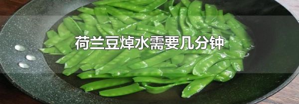 荷兰豆焯水需要几分钟