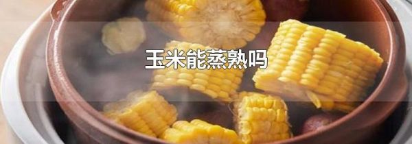 玉米能蒸熟吗