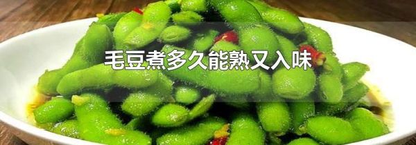 毛豆煮多久能熟又入味