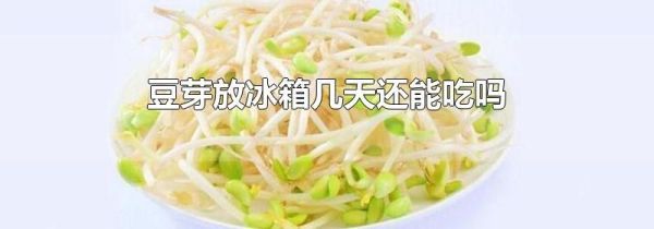 豆芽放冰箱几天还能吃吗